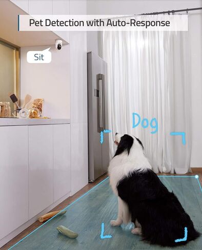 eufy Security Indoor Cam E220 2 حزم وجرس باب بالفيديو E340 (حزمة) in Kuwait