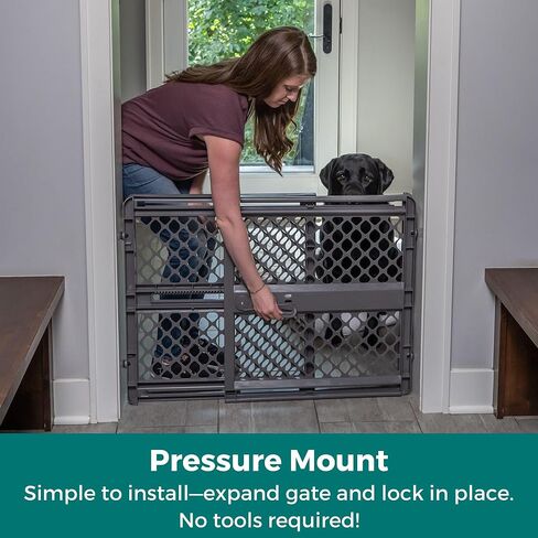 MYPET Essential Petgate in Fieldstone in Kuwait