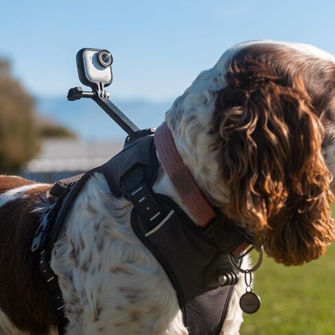 Insta360 GO 3/GO 3S حزام تثبيت للحيوانات الأليفة مقاس M (GO Ultra) in Kuwait