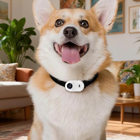 Body Camera 1080P, Wearable Action Cam, 240Min, 120° Wide Angle, Anti-Shake, 64G Card, Pet Accessories, 2.5 X 1.2 X 0.8 in in Kuwait