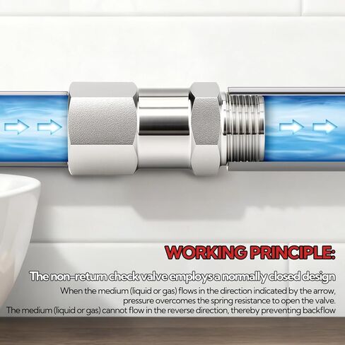 1 قطعة 316L الفولاذ المقاوم للصدأ صمام فحص باتجاه واحد، 1/2 "NPT ذكر x 1/2" NPT ذكر المواضيع ضاغط الهواء صمام الاختيار منع التدفق الخلفي in Kuwait