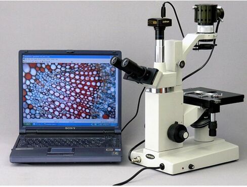 AmScope MU1003 10MP USB3.0 كاميرا رقمية مجهر فيديو مباشر في الوقت الحقيقي 10 ميجابكسل، أبيض in Saudi Arabia