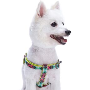 Blueberry Pet 2 Colors Soft & Comfy Step-in Southwestern Vintage Tribal Print Padded Dog Harness, Chest Girth 15.5" - 19.5", Extravagant Orange, XS/S, Adjustable Harnesses for Dogs