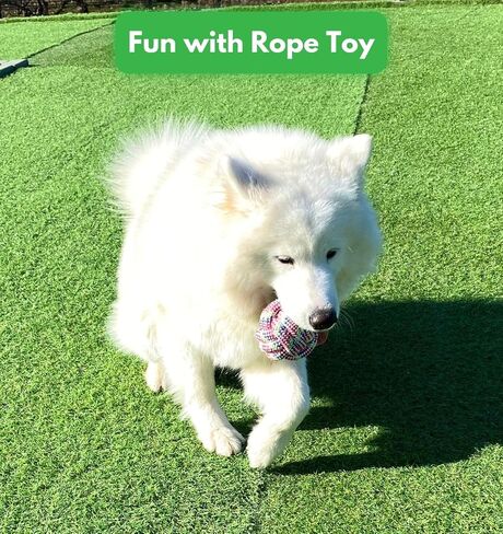Dog Rope Toys for Medium to Large Breed, Aggressive Chewers - Tug of War - Pull Toy for Dogs - Chew Toy (Knotted Rope) in Saudi Arabia
