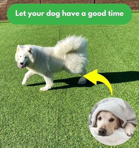 Dog Rope Toys for Medium to Large Breed, Aggressive Chewers - Tug of War - Pull Toy for Dogs - Chew Toy (Knotted Rope) in Saudi Arabia