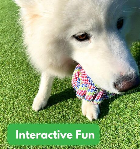 Dog Rope Toys for Medium to Large Breed, Aggressive Chewers - Tug of War - Pull Toy for Dogs - Chew Toy (Knotted Rope) in Saudi Arabia