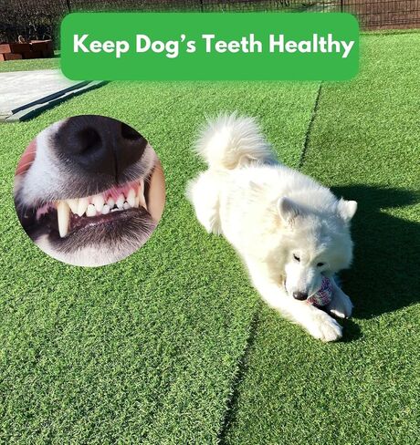 Dog Rope Toys for Medium to Large Breed, Aggressive Chewers - Tug of War - Pull Toy for Dogs - Chew Toy (Knotted Rope) in Saudi Arabia