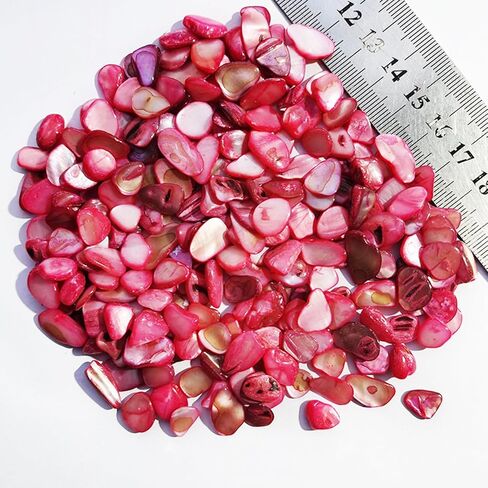 100g Shell Mixed Color Mosaic Tiles Mosaic Glass Pieces for Home Decoration or DIY Crafts, Natural Shell Irregular Size (Rose Red) in Saudi Arabia