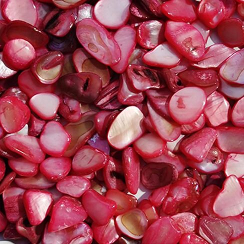 100g Shell Mixed Color Mosaic Tiles Mosaic Glass Pieces for Home Decoration or DIY Crafts, Natural Shell Irregular Size (Rose Red) in Saudi Arabia