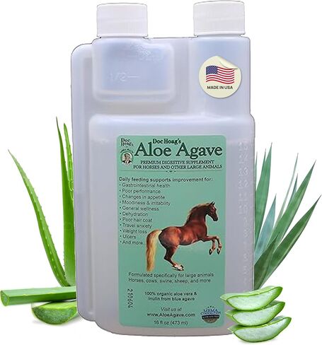 الأصلي Udder Balm Doc Hoag's Aloe Vera + Agave Premium Horse ملحق لصحة الأمعاء، ودعم المعدة الطبيعي للخيول وتخفيف التوتر، ودعم تحسين القرحة للخيول والحيوانات الكبيرة الأخرى in Kuwait