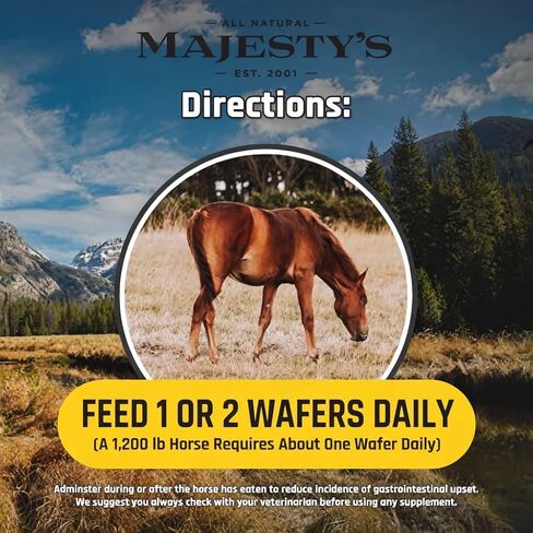 Majesty's Flex XT Wafers - Superior Horse / Equine Joint Support With Increased Supplement Levels - Glucosamine, MSM, Yucca, Vitamin C - 30 Count (1 Month Supply) in Saudi Arabia