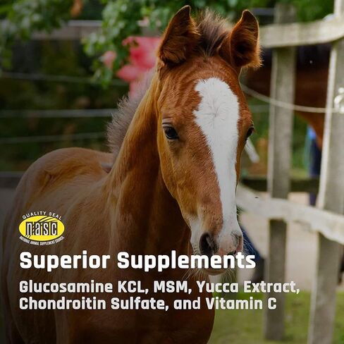 Majesty's Flex XT Wafers - Superior Horse / Equine Joint Support With Increased Supplement Levels - Glucosamine, MSM, Yucca, Vitamin C - 30 Count (1 Month Supply) in Saudi Arabia