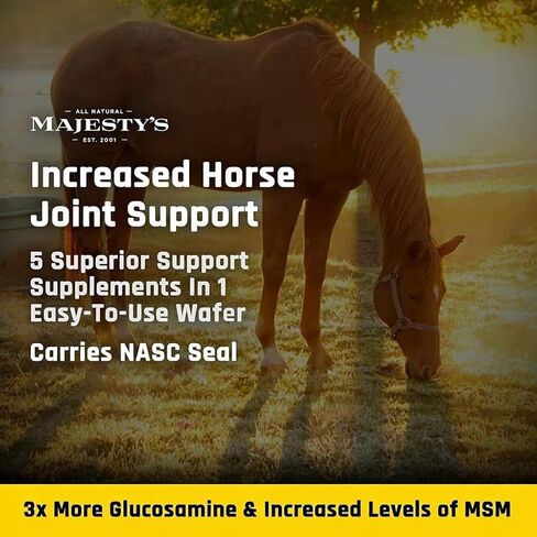 Majesty's Flex XT Wafers - Superior Horse / Equine Joint Support With Increased Supplement Levels - Glucosamine, MSM, Yucca, Vitamin C - 30 Count (1 Month Supply) in Saudi Arabia