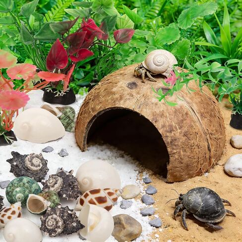 Hermit Crab Shells Natural Coconut Shell Hut Artificial Plants 19 PCS Decoration Supplies House Tank in Saudi Arabia