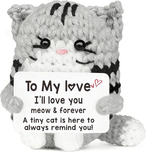Positive Crochet Cat Christmas Birthday Gifts for Women Men Daughter Son Uncle Aunt Back to School Friend Coworker Desk Home Fall Decor Emotional Inspirational Support Crochet Animals Gift Idea in Saudi Arabia