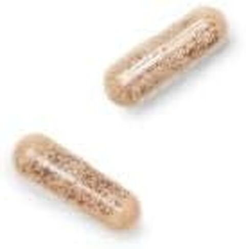 GNC Gentlesorb Iron 18mg, 90 Capsules, Gentle on Stomach Lining and Highly Absorbable in Saudi Arabia
