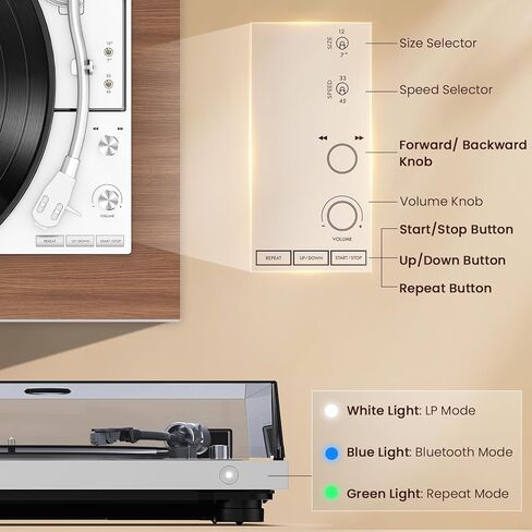 مشغل تسجيل تلقائي بالكامل 1 بواسطة ONE، قرص دوار من الفينيل HiFi مع وظيفة التكرار التلقائي، ومكبرات صوت على رف الكتب، وجهاز تحكم عن بعد، ومضخم صوت مدمج وDSP، وخرطوشة AT-3600L، ومحرك حزام بسرعتين in Kuwait
