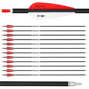 31inch Carbon Arrow Archery Targeting Practice Hunting Arrows for Compound & Recurve Bow with Removable Tips(Pack of 12) in Saudi Arabia