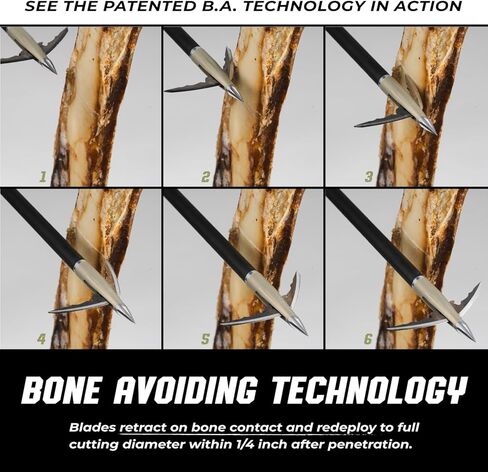Bowmar Archery Beast Broadheads، أسرع رأس عريض للنشر في العالم، تكنولوجيا حاصلة على براءة اختراع، ميكانيكيات أكثر اختراقًا، بالإضافة إلى نصيحة للتمرين in Kuwait