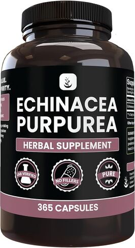 PURE ORIGINAL INGREDIENTS Echinacea Purpurea (365 Capsules) No Magnesium Or Rice Fillers, Always Pure, Lab Verified in Saudi Arabia