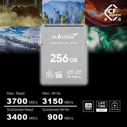 بطاقة ذاكرة Exascend Essential Pro سعة 256 جيجابايت CFexpress 4.0 من النوع B، قراءة 3700 ميجابايت/ثانية، كتابة 3150 ميجابايت/ثانية، VPG400 in Kuwait