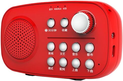 Network Radio Dedicated High Volume Singing Machine Card Insertion Charging in Saudi Arabia