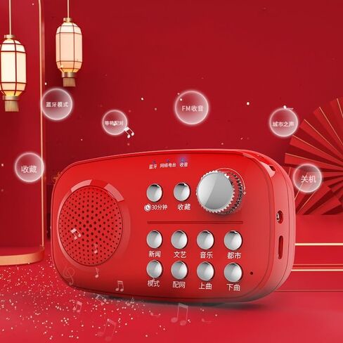 Network Radio Dedicated High Volume Singing Machine Card Insertion Charging in Saudi Arabia