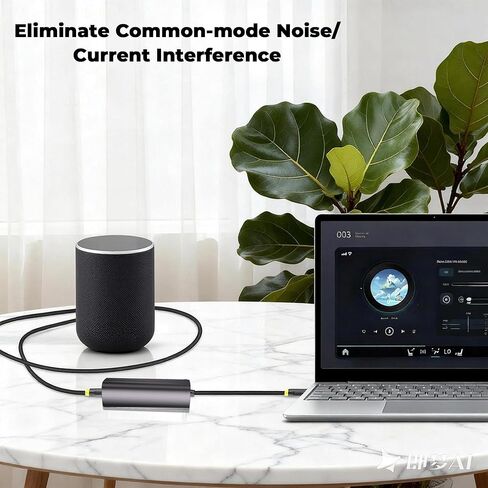 3.5mm Ground Loop Noise Isolator - Audio Noise Filter with 3.5mm Audio Cable for Car Audio System Home Stereo, Aluminum Shell, Ground Loop Isolator for Game Headset Eliminate Buzzing Noise in Saudi Arabia