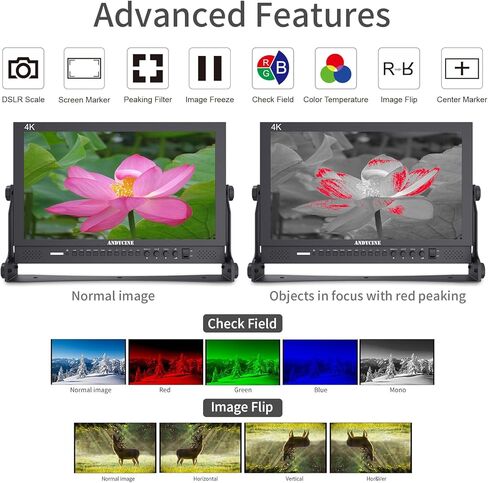 ANDYCINE C173S 17.3 بوصة دقة 1920x1080 4K HDMI 3G-SDI شاشة إنتاج البث والمدخل، شاشة مدير سطح المكتب مع YPbPr، فيديو in Kuwait