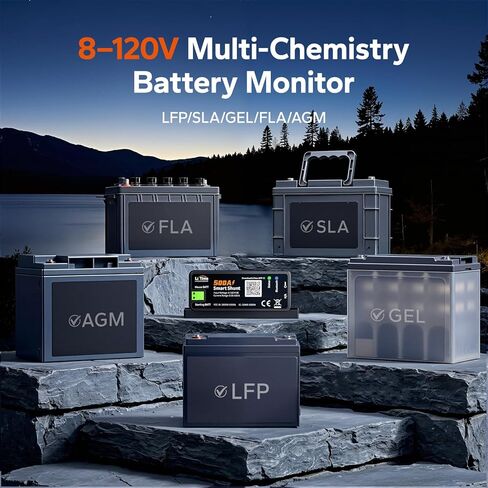 Litime 500A Bluetooth Battery Shunt, Compatible with 8V–120V Lead Acid, LFP, Lithium, AGM Batteries, SOC, Alarm Alerts, History Records, App Monitoring, Ideal for RV/Marine/Off-Grid in Saudi Arabia