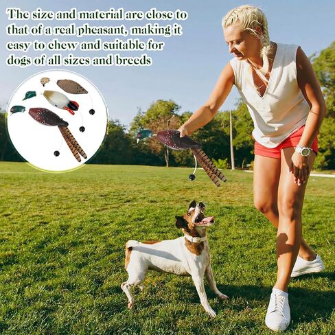 3 Pcs Duck Dummy Bumper Toys for Dog Training Retriever Training Floating Fowl Pheasant Hunting Duck Recognition Trainers(Ducks Pigeon Chicken) in Saudi Arabia
