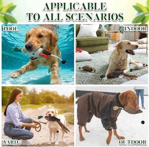 3 Pcs Duck Dummy Bumper Toys for Dog Training Retriever Training Floating Fowl Pheasant Hunting Duck Recognition Trainers(Ducks Pigeon Chicken) in Saudi Arabia