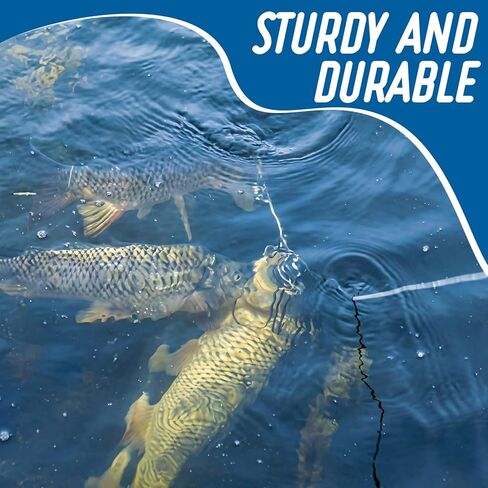 2 Pack Fishing Chain Stringers with Swiveled Moveable Snaps Fishing Threader Stainless Steel Fish Gear for Freshwater and Saltwater in Saudi Arabia