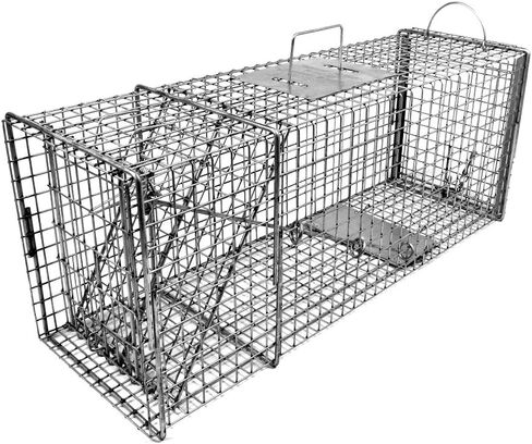 Tomahawk Model 608.1 - Original Series Rigid Live Trap with one Trap Door and Easy Release Door - 32x10x12 for Raccoon, Feral Cat, Badger, Woodchuck, Armadillo Sized Animals in Saudi Arabia