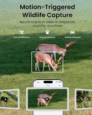 REOLINK 4K Dual Lens 360° 4G Cellular Security Camera, Wireless Auto Tracking Trail Camera, Auto 6X Hybrid Zoom, Smart Detection, No-Glow IR, Waterproof for Wildlife, TrackMix LTE Trail in Saudi Arabia