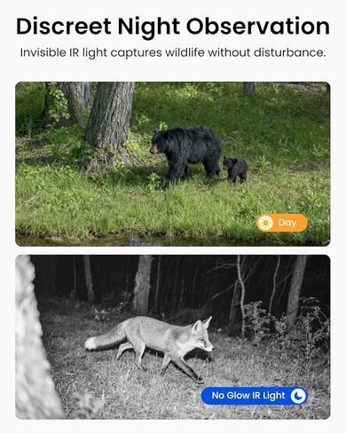 REOLINK 4K Dual Lens 360° 4G Cellular Security Camera, Wireless Auto Tracking Trail Camera, Auto 6X Hybrid Zoom, Smart Detection, No-Glow IR, Waterproof for Wildlife, TrackMix LTE Trail in Saudi Arabia