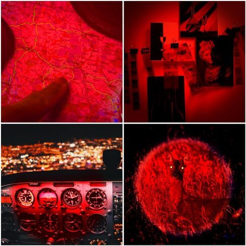 2 Pack Red Light Flashlight Single Mode Red LED Flashlight One Mode Zoomable Night Light Torch for Night Observation and Astronomy Aviation in Saudi Arabia