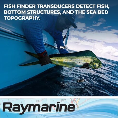 FLIR - RAYMARINE T70318 M RV-212 Thru Hull TRNSD, Black, 10" in Saudi Arabia