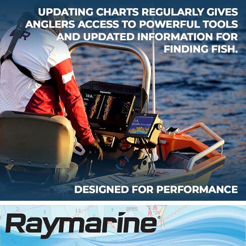 FLIR - RAYMARINE T70318 M RV-212 Thru Hull TRNSD, Black, 10" in Saudi Arabia