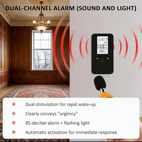 Steadfast to Haven 4-in-1 Detector with HD Screen, Home, Apartment, Hotel, Camping RV (Black) in Saudi Arabia