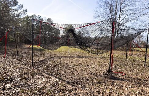 Boar Blanket Feral Pig Net Trap in Saudi Arabia