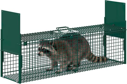 Garvee 39 inch Live Animal Trap Hunting Release Cage with 2-Door Carrying Handle Sensitive Trigger Collapsible Steel for Raccoons Squirrel Cats Rabbits Skunks Foxes Similar Animals 39 * 10 * 11 inch in Saudi Arabia