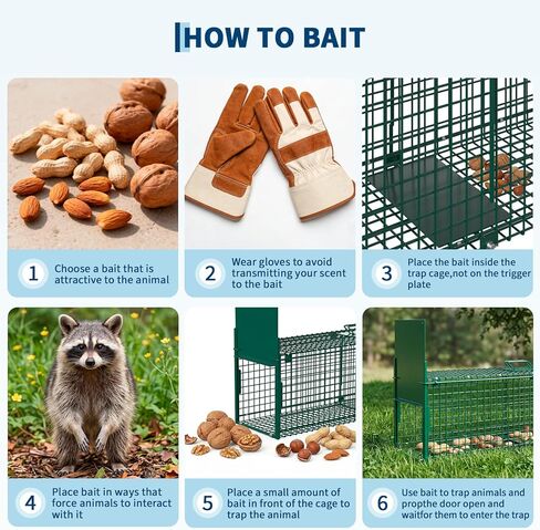 Garvee 39 inch Live Animal Trap Hunting Release Cage with 2-Door Carrying Handle Sensitive Trigger Collapsible Steel for Raccoons Squirrel Cats Rabbits Skunks Foxes Similar Animals 39 * 10 * 11 inch in Saudi Arabia