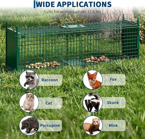Garvee 39 inch Live Animal Trap Hunting Release Cage with 2-Door Carrying Handle Sensitive Trigger Collapsible Steel for Raccoons Squirrel Cats Rabbits Skunks Foxes Similar Animals 39 * 10 * 11 inch in Saudi Arabia