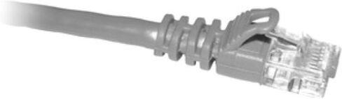 OEM PN C5E-GY-50 50FT CAT5 رمادي in Kuwait