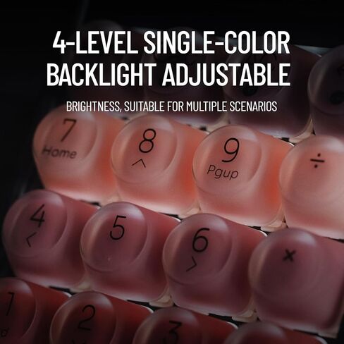 LOFREE Lipstick-Style Tri-Mode Wireless Mechanical Numpad with 4-Level Adjustable Backlight, Hot-Swappable, Rechargeable Wireless Numpad with Bluetooth /2.4G Wireless/USB-C Wired Connection in Saudi Arabia