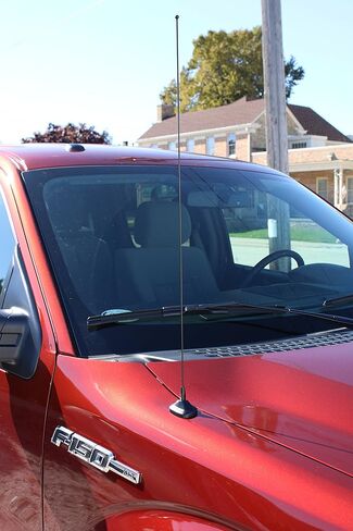 AntennaMastsRus - هوائي أسود مقاس 31 بوصة يناسب Ford F-150، F-250، F-350، F-450، F-550، F-600، F-650 | دودج رام 1500، 2500، 3500 - خيوط الفولاذ المقاوم للصدأ الأمريكية in Saudi Arabia