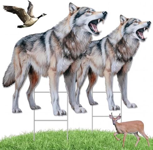 Qualirey Coyote Decoy for Geese Deterrent 27.5 x 26 Inch Fake Predator Hunting Decoy 2D Coyote Repellent Devices to Scare Goose Deer Keep Away Small Animals in Saudi Arabia