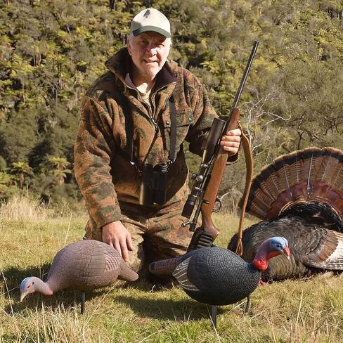 Hollowfly Collapsible Hen and Jake Combo Decoy for Hunting - Lightweight Standing Lifelike Turkey Hunting Decoy with Stake for Field Forest Wood Ground Outdoor in Saudi Arabia