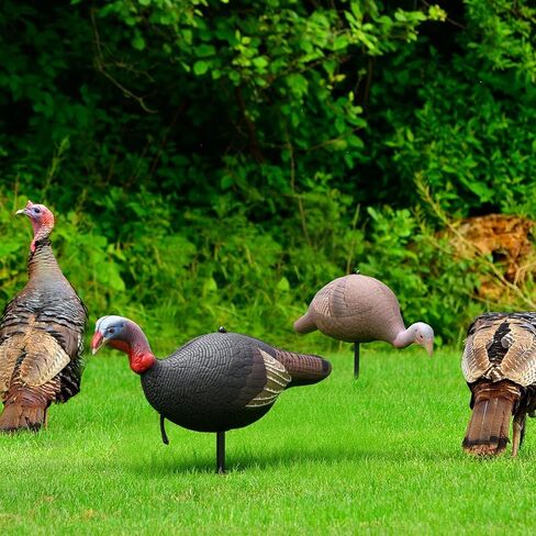 Hollowfly Collapsible Hen and Jake Combo Decoy for Hunting - Lightweight Standing Lifelike Turkey Hunting Decoy with Stake for Field Forest Wood Ground Outdoor in Saudi Arabia